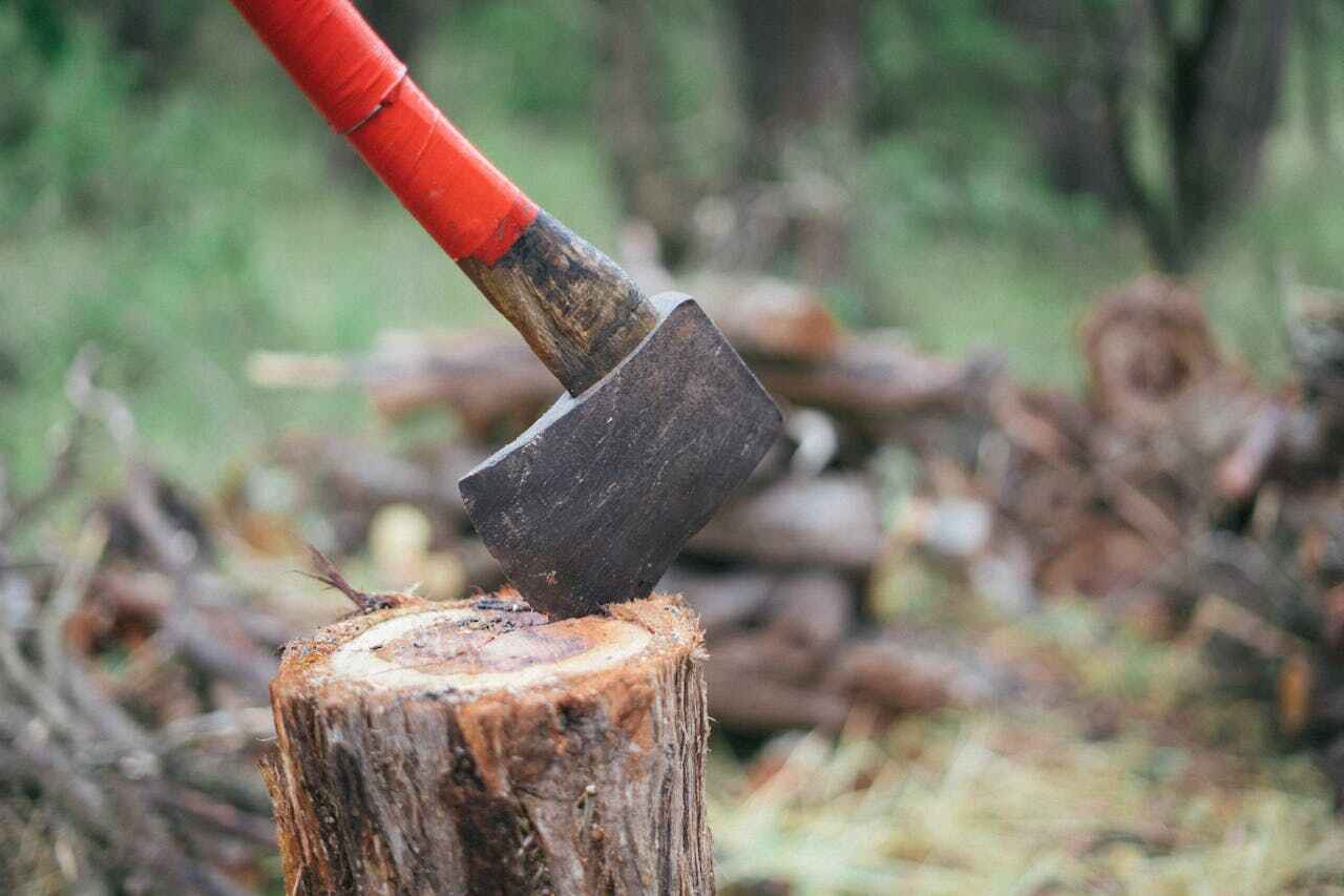 Best Tree Trimming Near Me  in Twin Grove, IL